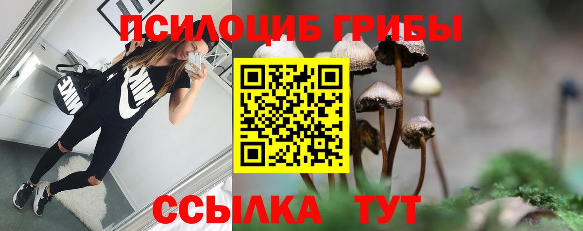 Галлюциногенные грибы Cubensis Березники